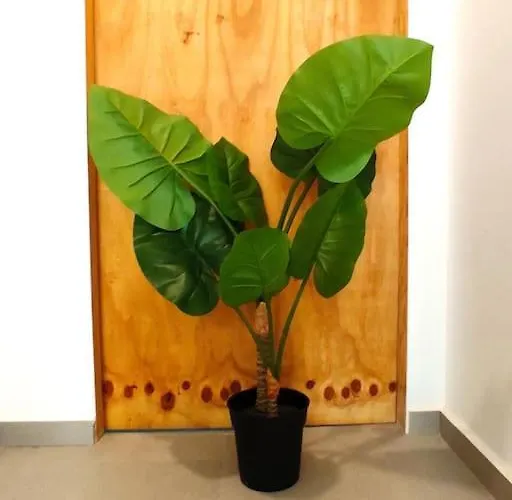 Lifecoliving Loft A 瓦伦西亚