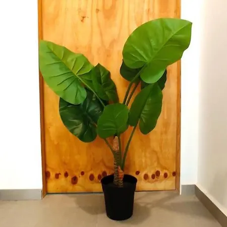 Lifecoliving Loft A Valencia